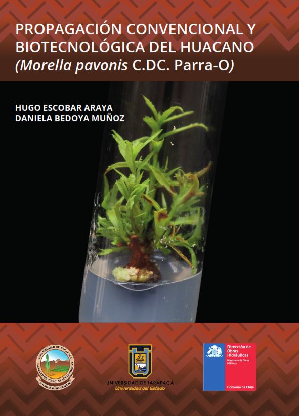 Generic placeholder thumbnail